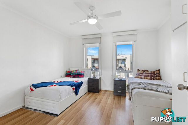 79 Augustine Street MAWSON LAKES SA 5095
