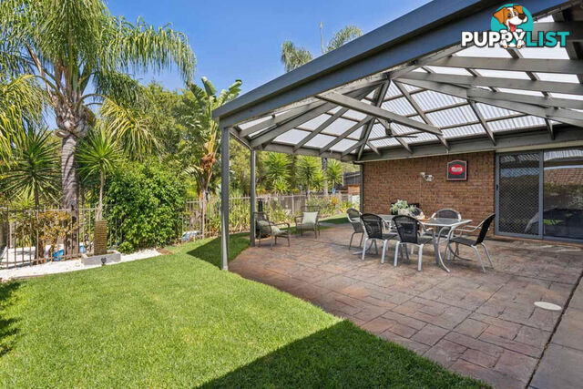 7 Treloar Avenue GREENWITH SA 5125