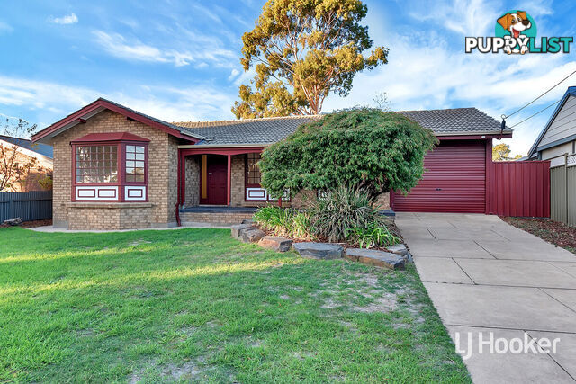 49 Hamilton Road FAIRVIEW PARK SA 5126
