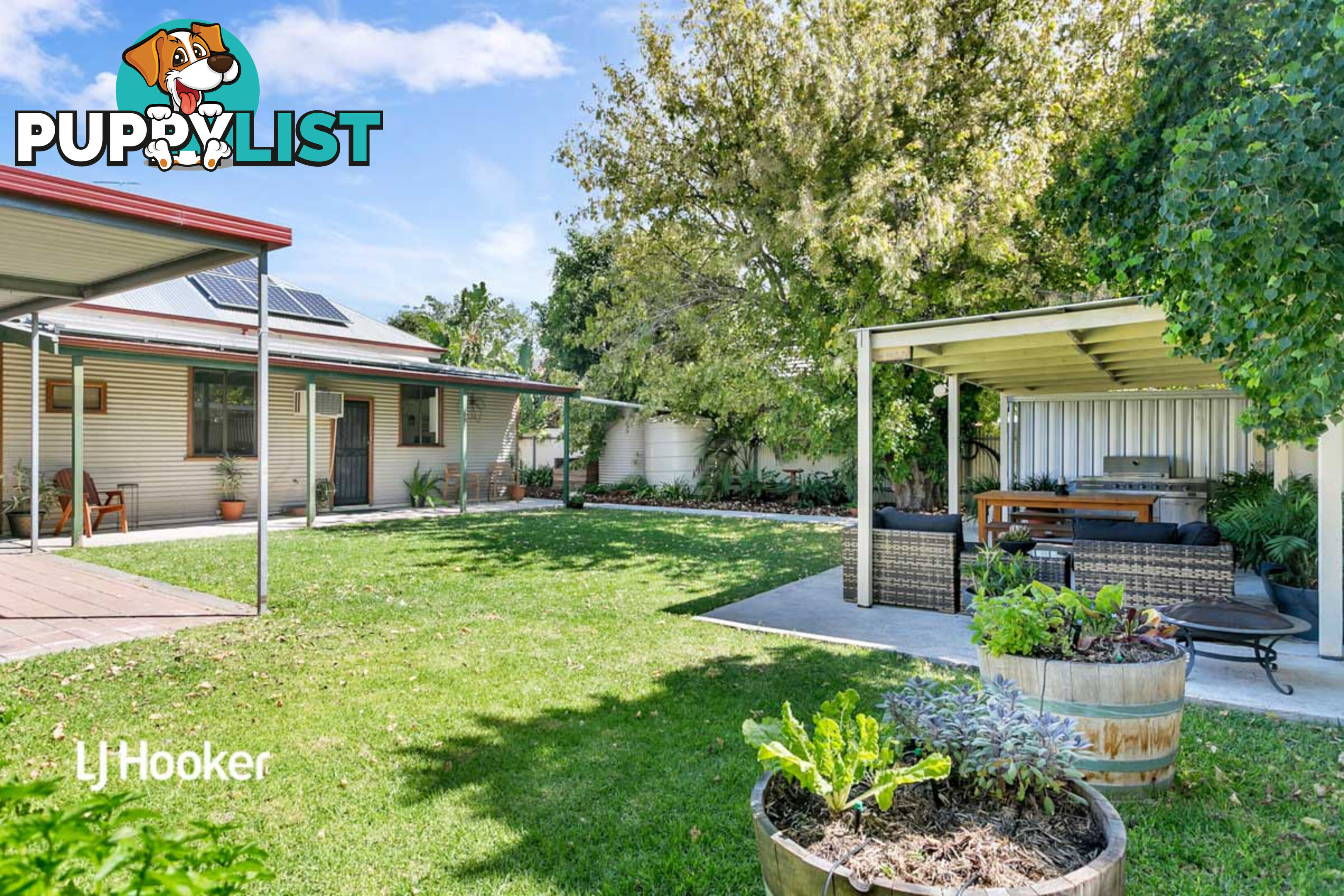 58 Bosanquet Avenue PROSPECT SA 5082