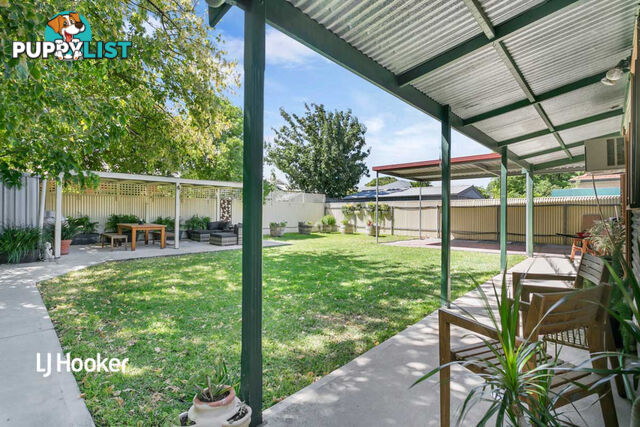 58 Bosanquet Avenue PROSPECT SA 5082