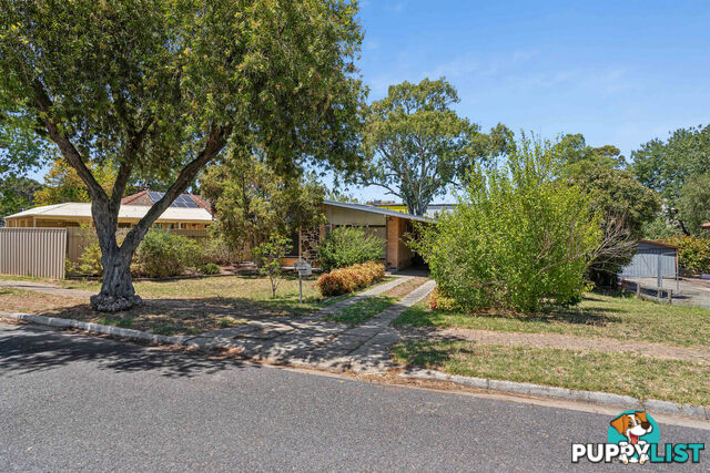 19 Clyde Street MODBURY SA 5092