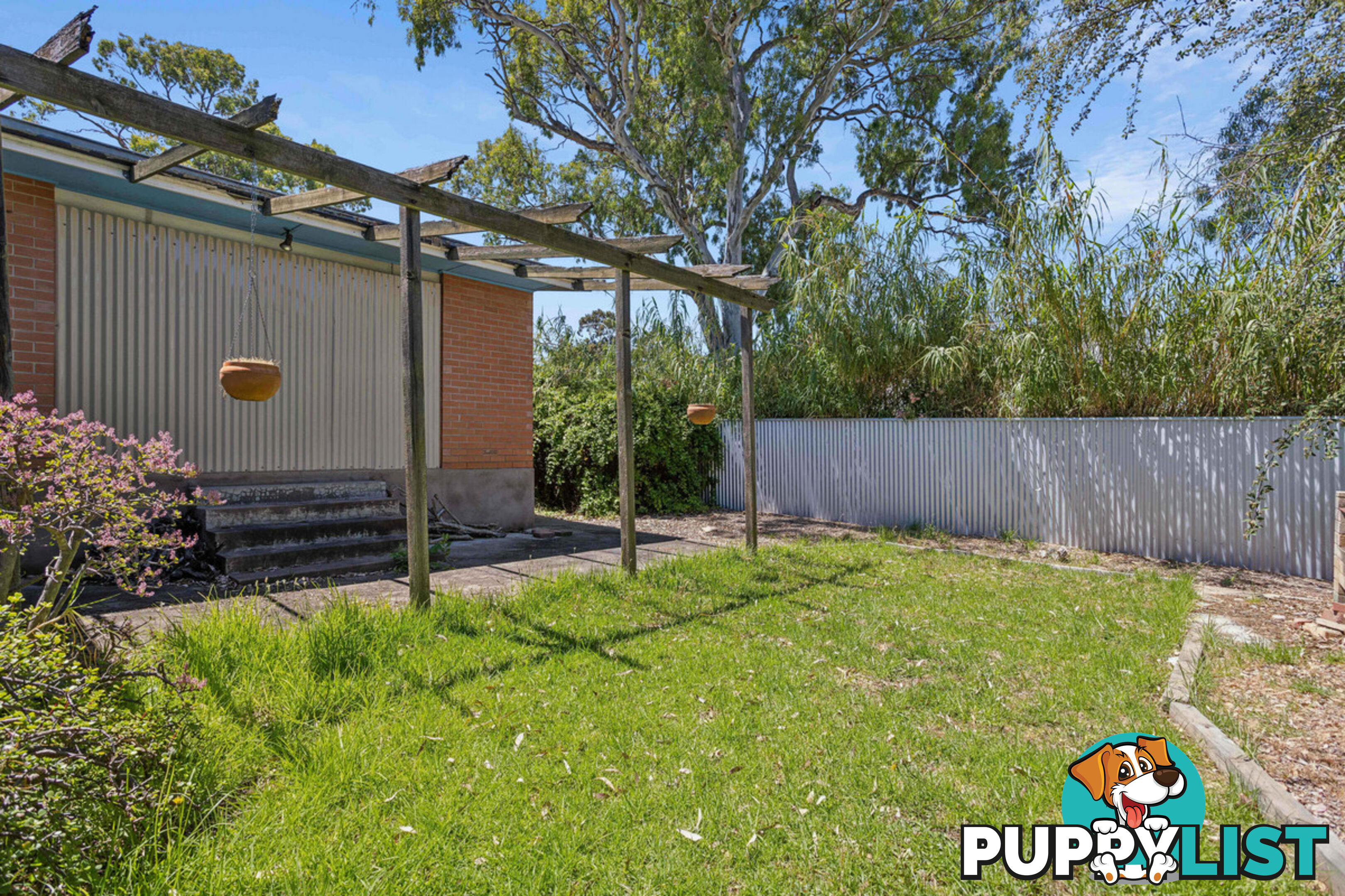 19 Clyde Street MODBURY SA 5092