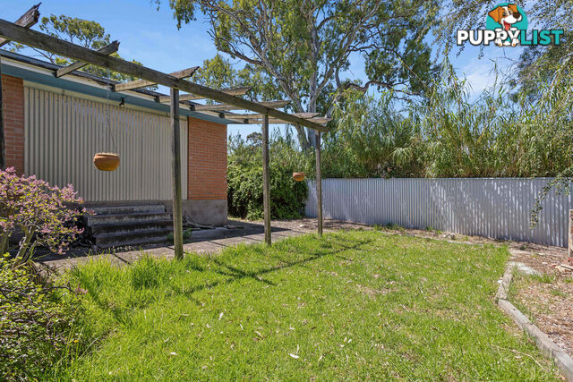 19 Clyde Street MODBURY SA 5092