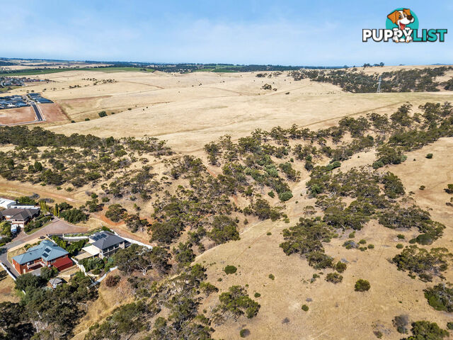 Lot 201 Whitford Road GOULD CREEK SA 5114