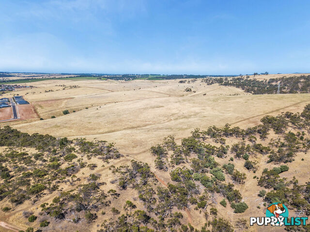 Lot 201 Whitford Road GOULD CREEK SA 5114