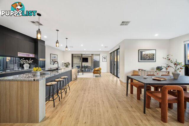 3/1188 Lower North East Road HIGHBURY SA 5089