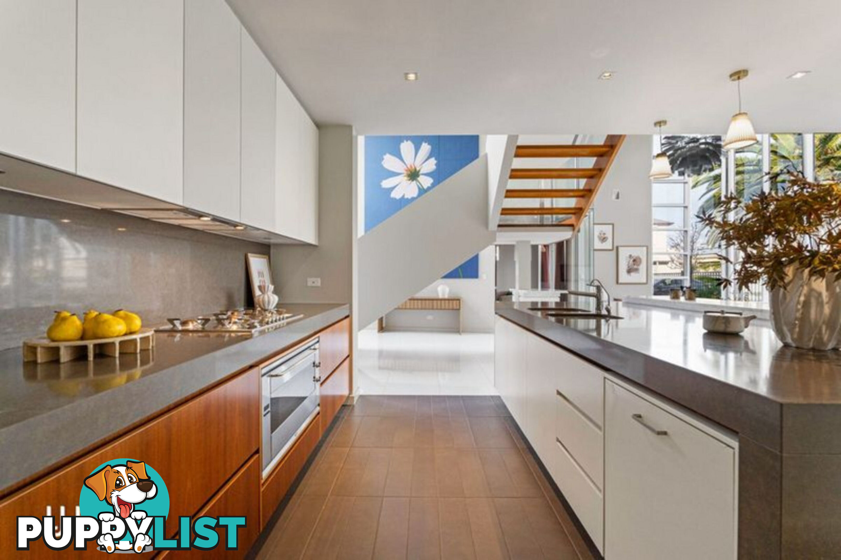 50 Isla Circuit MAWSON LAKES SA 5095