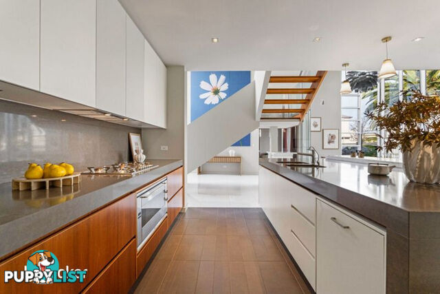 50 Isla Circuit MAWSON LAKES SA 5095