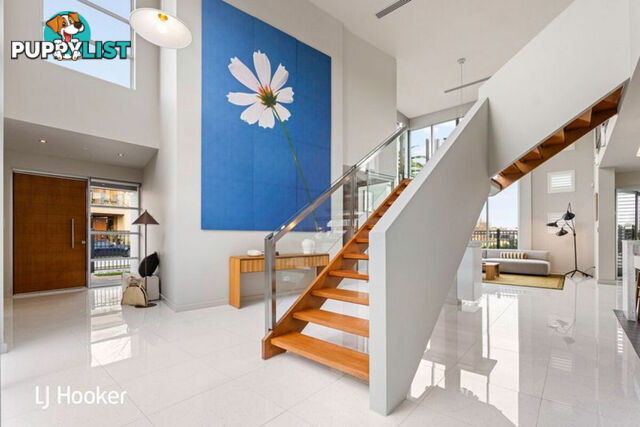 50 Isla Circuit MAWSON LAKES SA 5095