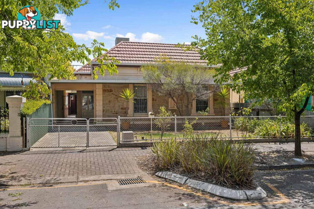 28 Frederick Street MAYLANDS SA 5069