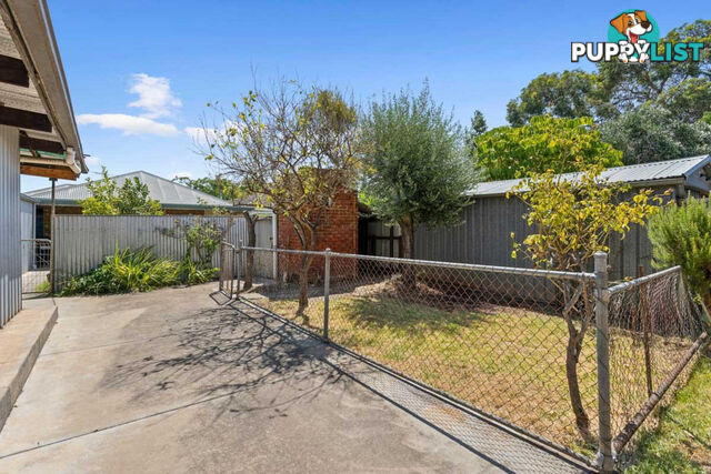 28 Frederick Street MAYLANDS SA 5069