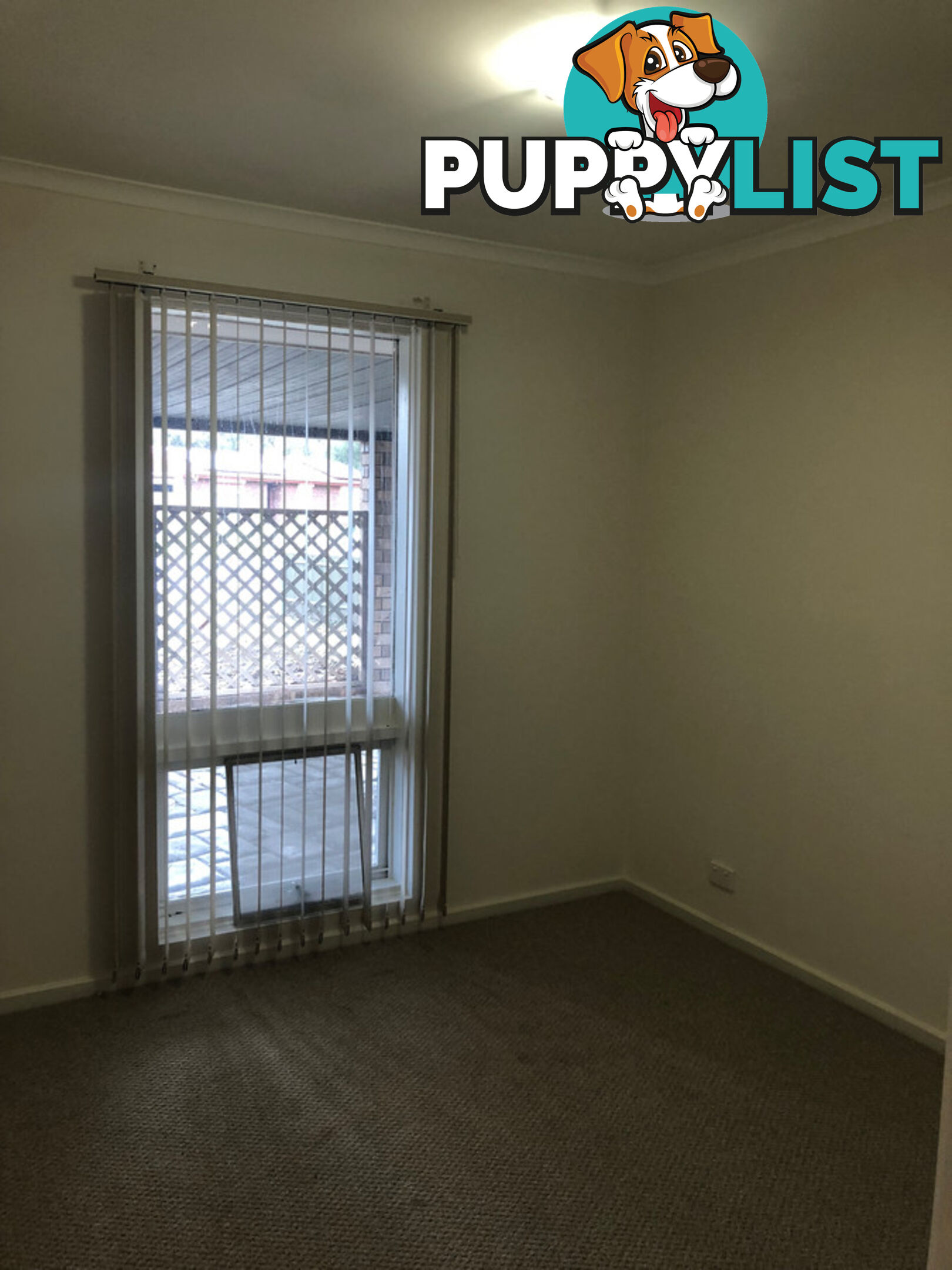 6 Cowan Drive POORAKA SA 5095