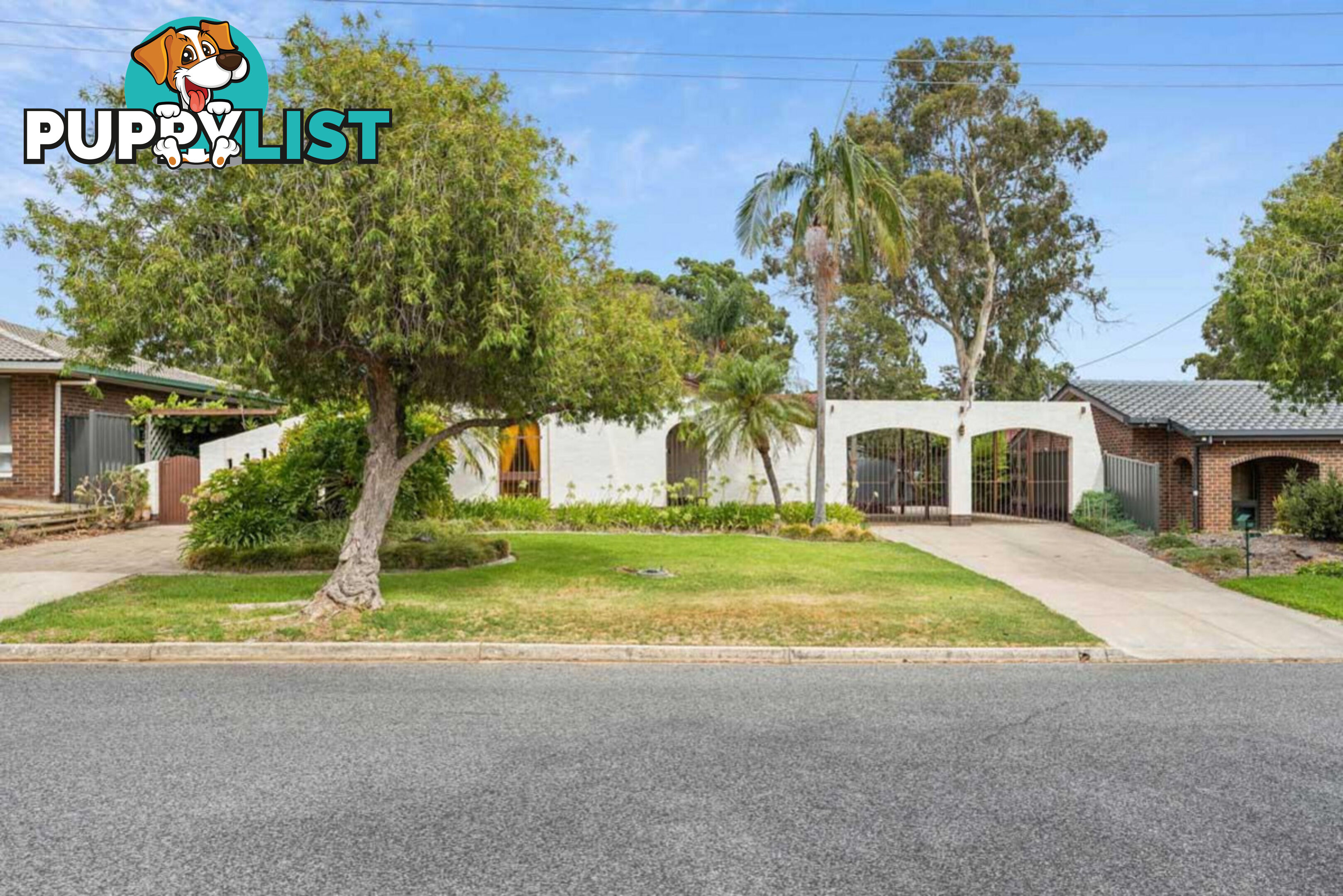 8 Wedge Street FAIRVIEW PARK SA 5126