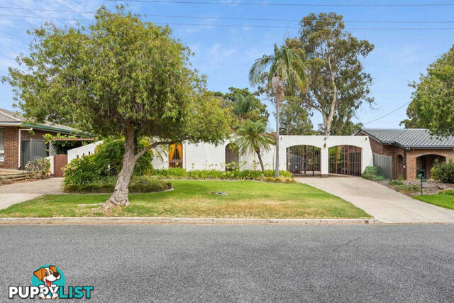 8 Wedge Street FAIRVIEW PARK SA 5126