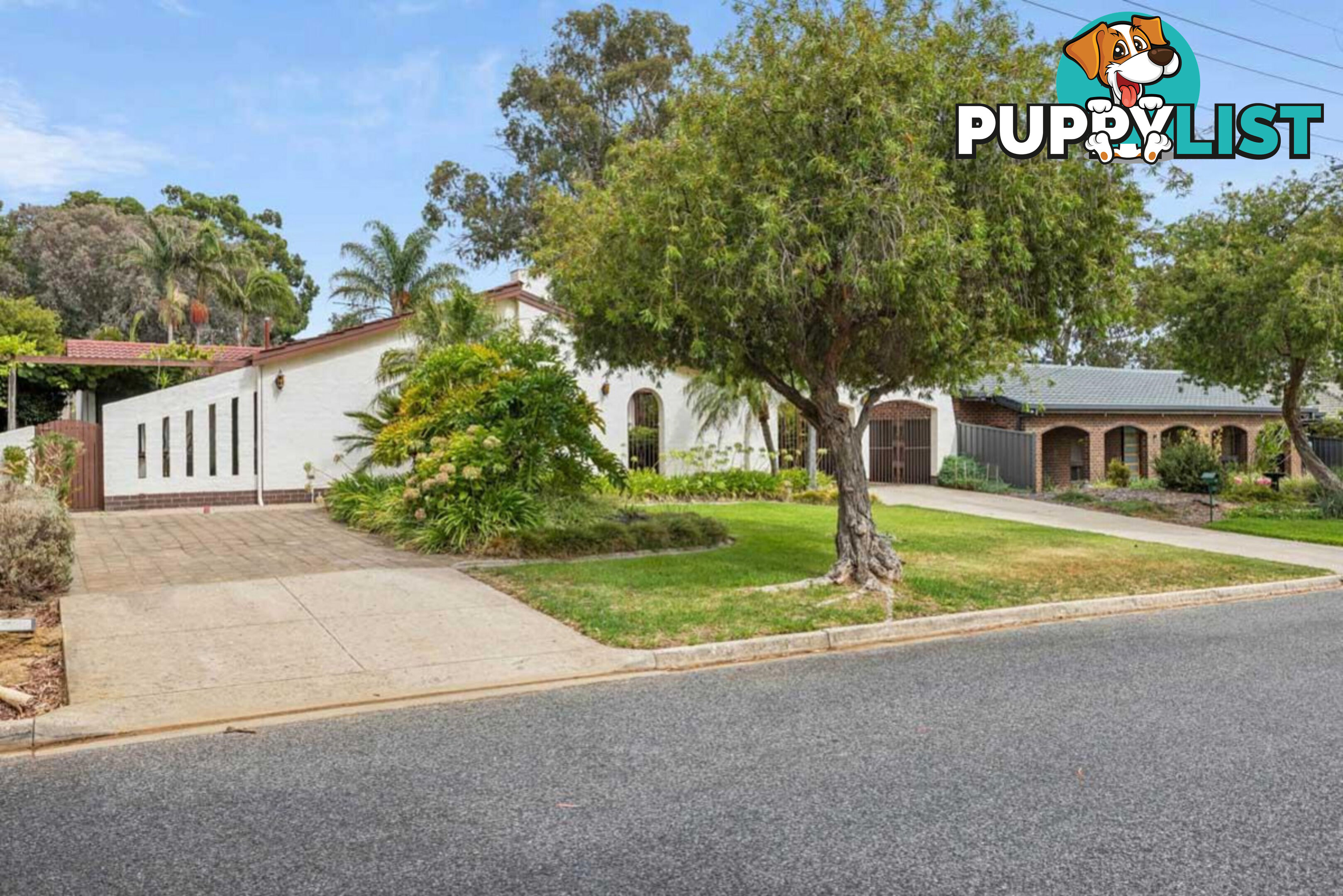 8 Wedge Street FAIRVIEW PARK SA 5126