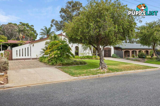 8 Wedge Street FAIRVIEW PARK SA 5126