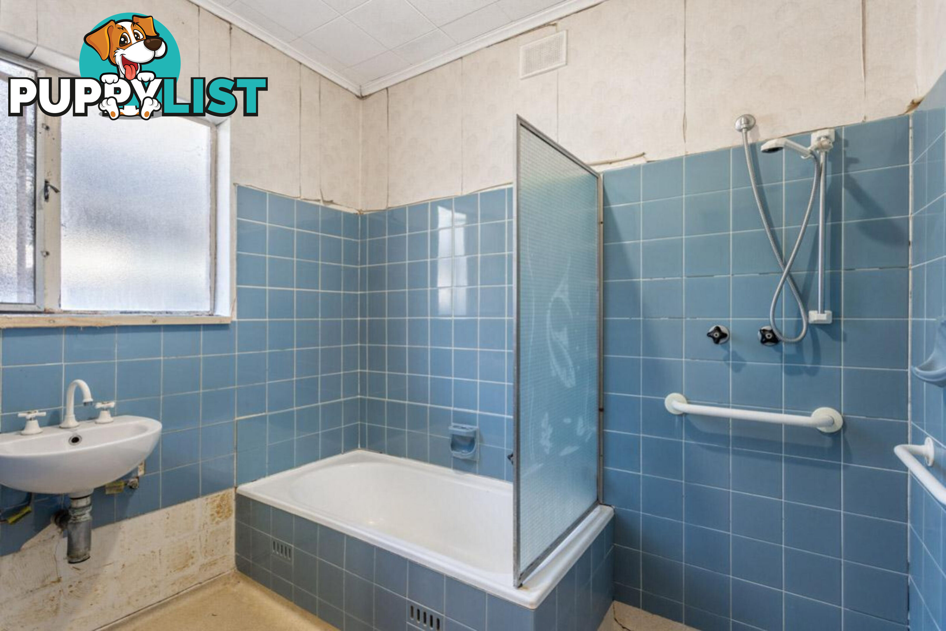 85 Elizabeth Street BANKSIA PARK SA 5091