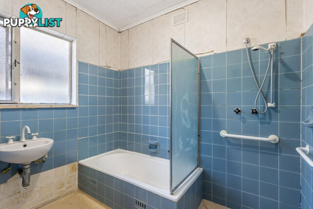 85 Elizabeth Street BANKSIA PARK SA 5091