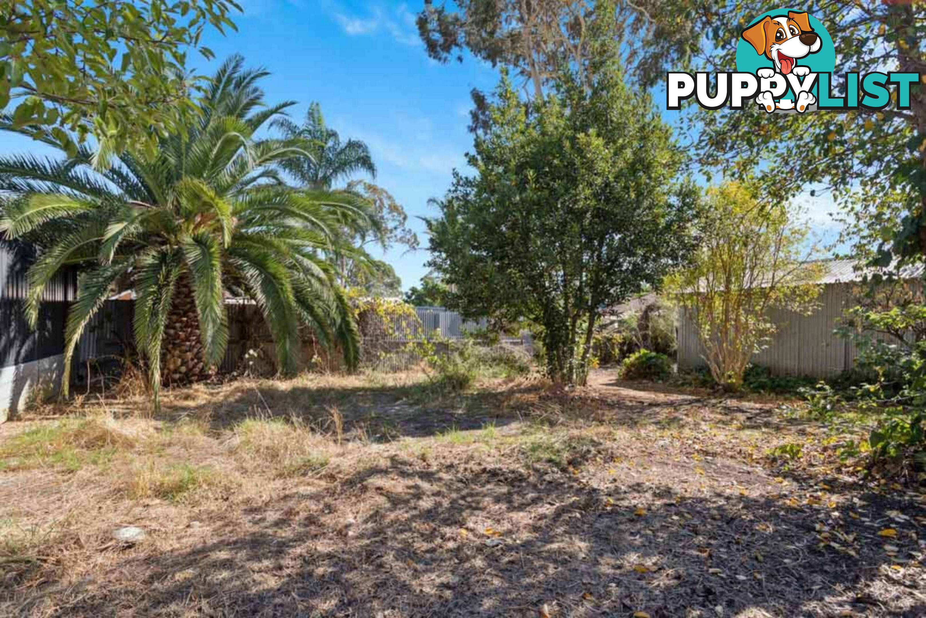 85 Elizabeth Street BANKSIA PARK SA 5091