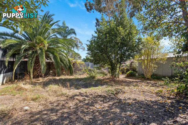 85 Elizabeth Street BANKSIA PARK SA 5091