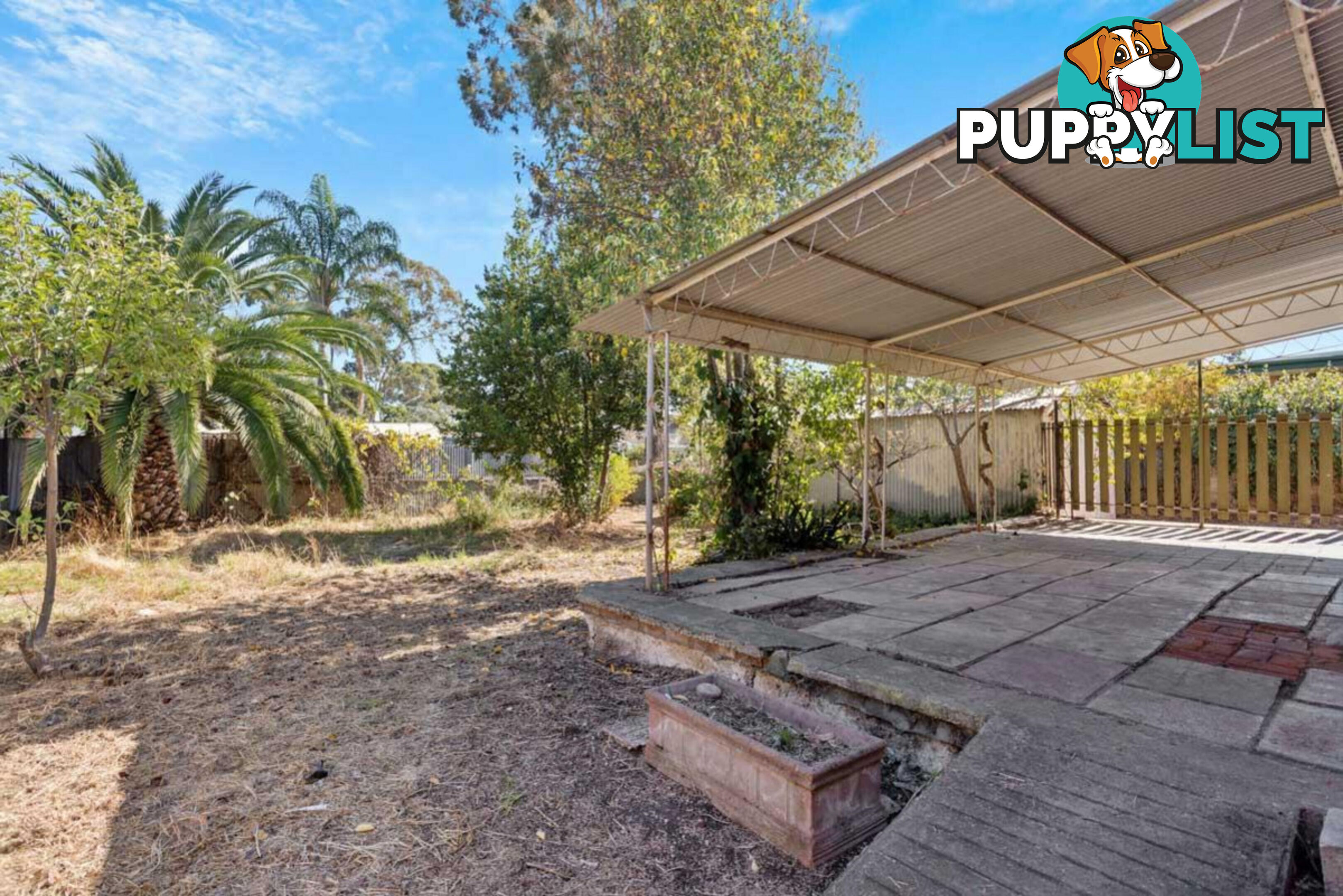 85 Elizabeth Street BANKSIA PARK SA 5091