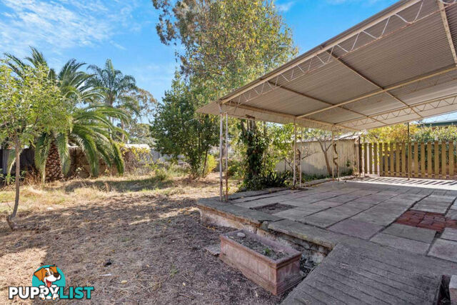 85 Elizabeth Street BANKSIA PARK SA 5091