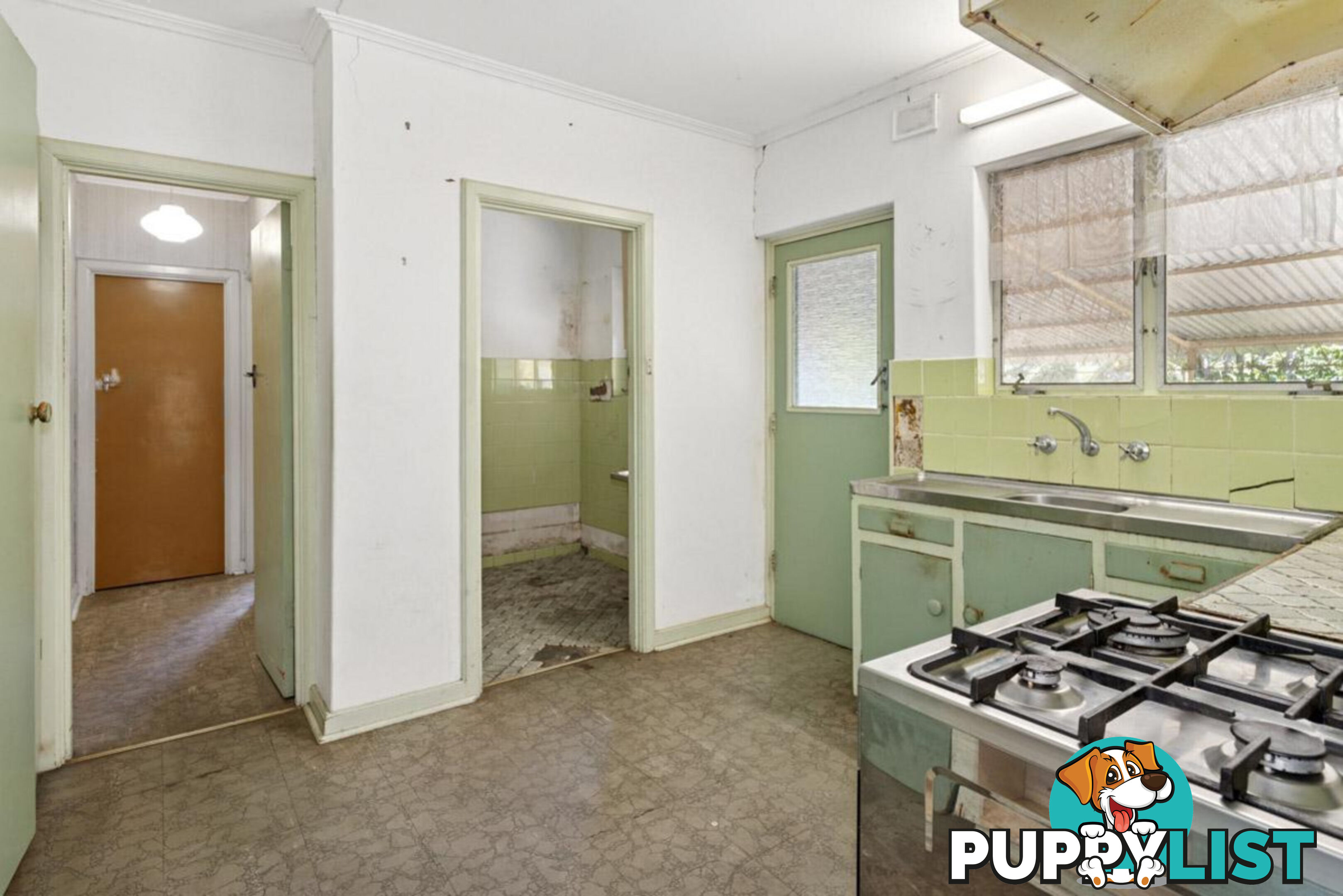 85 Elizabeth Street BANKSIA PARK SA 5091