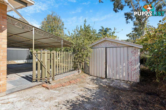 85 Elizabeth Street BANKSIA PARK SA 5091