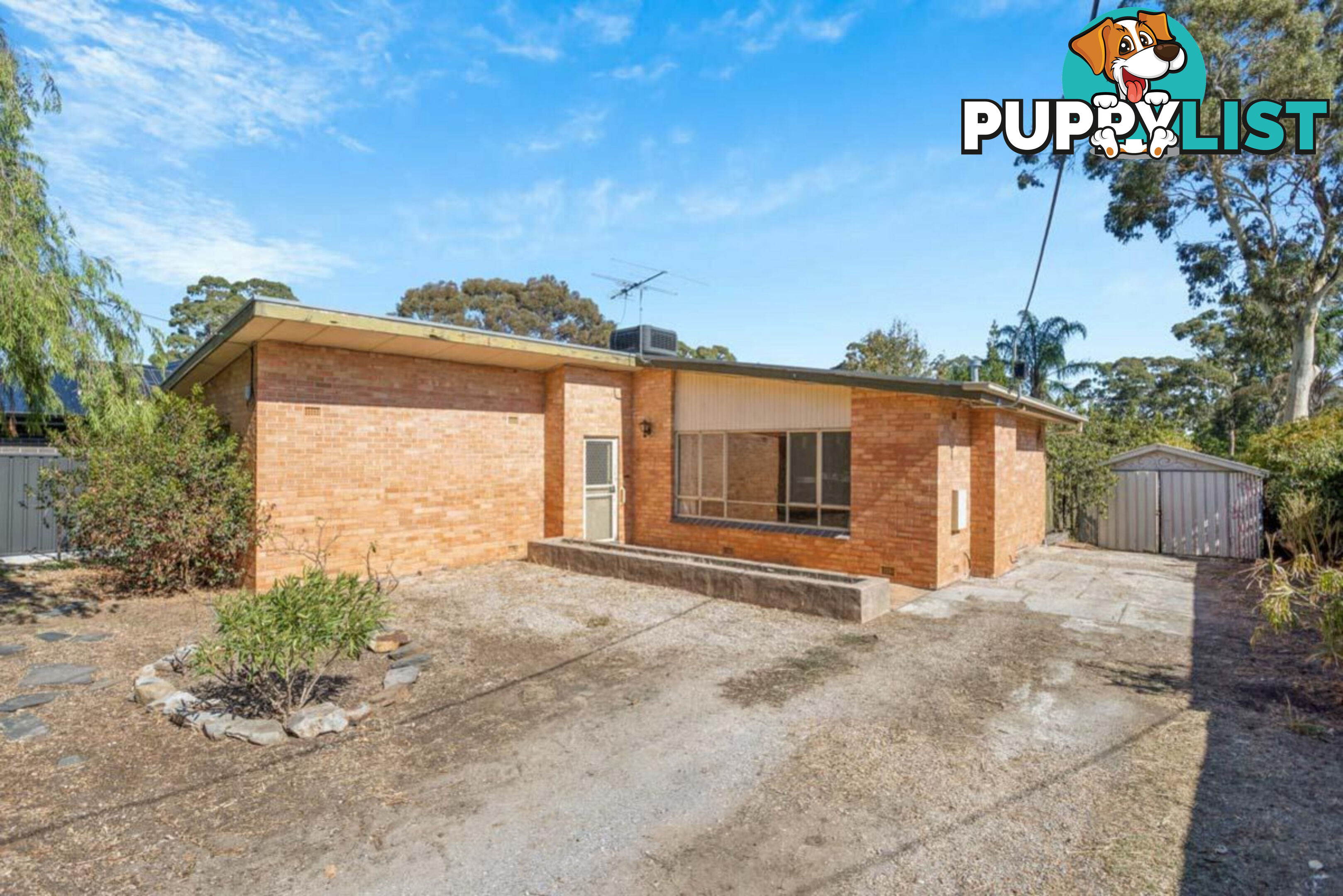 85 Elizabeth Street BANKSIA PARK SA 5091