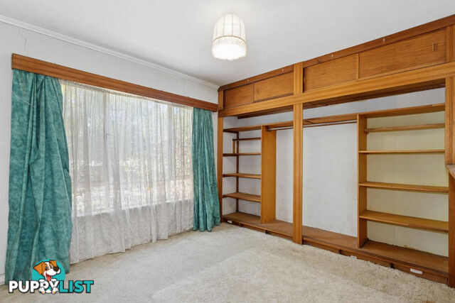 85 Elizabeth Street BANKSIA PARK SA 5091