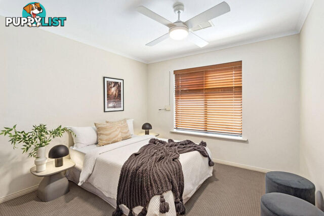 80 Shoalhaven Circuit MAWSON LAKES SA 5095