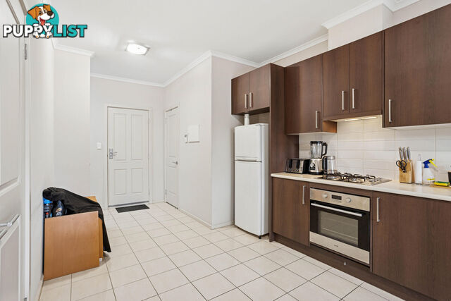 5/17 Euston Walk MAWSON LAKES SA 5095