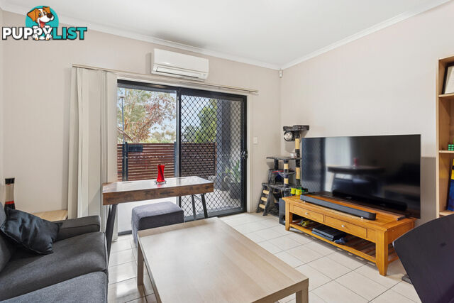 5/17 Euston Walk MAWSON LAKES SA 5095