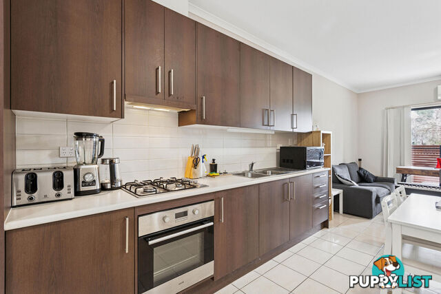 5/17 Euston Walk MAWSON LAKES SA 5095