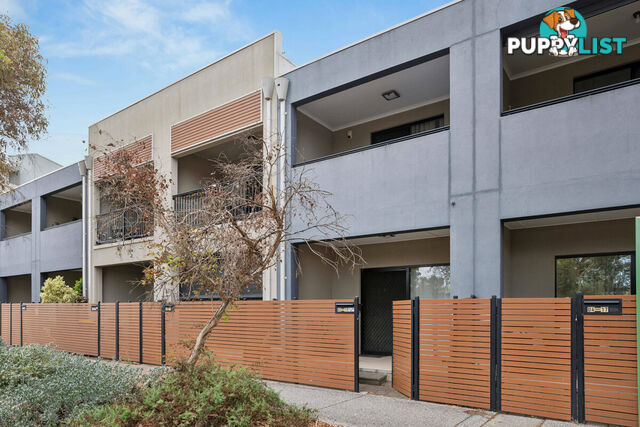 5/17 Euston Walk MAWSON LAKES SA 5095