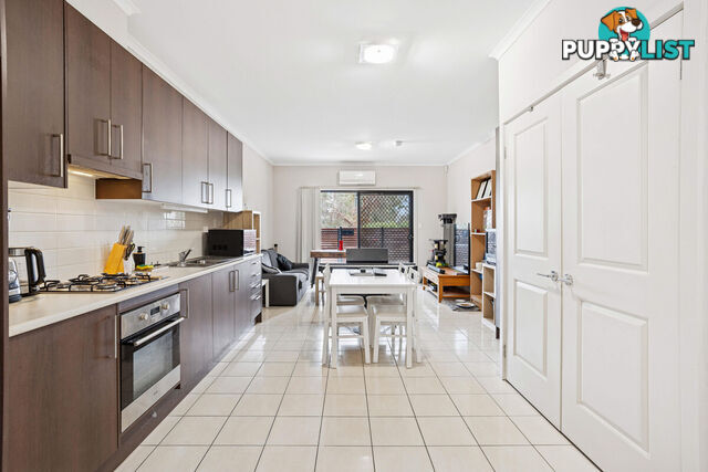 5/17 Euston Walk MAWSON LAKES SA 5095