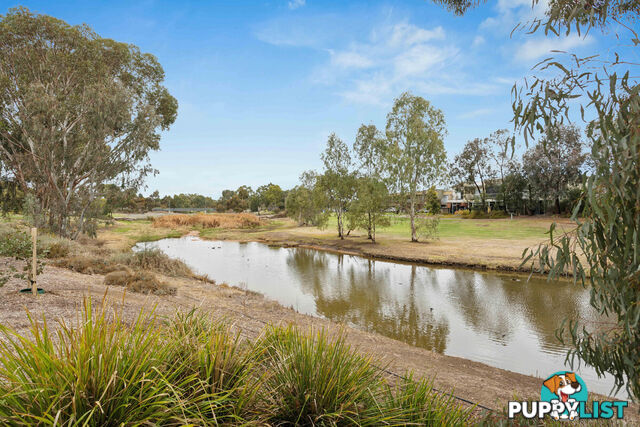 5/17 Euston Walk MAWSON LAKES SA 5095