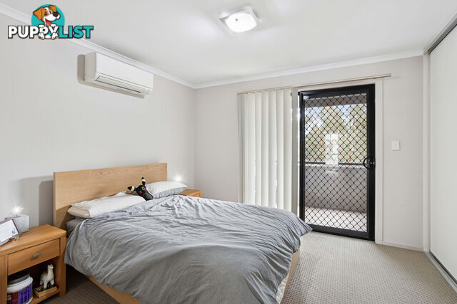5/17 Euston Walk MAWSON LAKES SA 5095