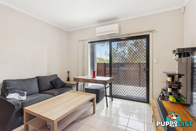 5/17 Euston Walk MAWSON LAKES SA 5095