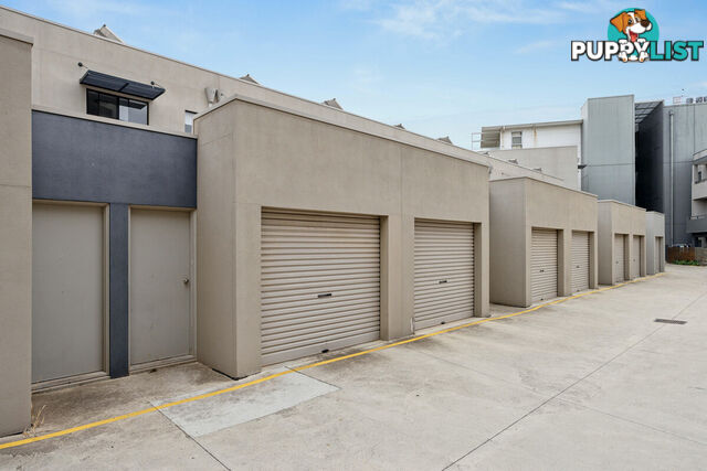 5/17 Euston Walk MAWSON LAKES SA 5095