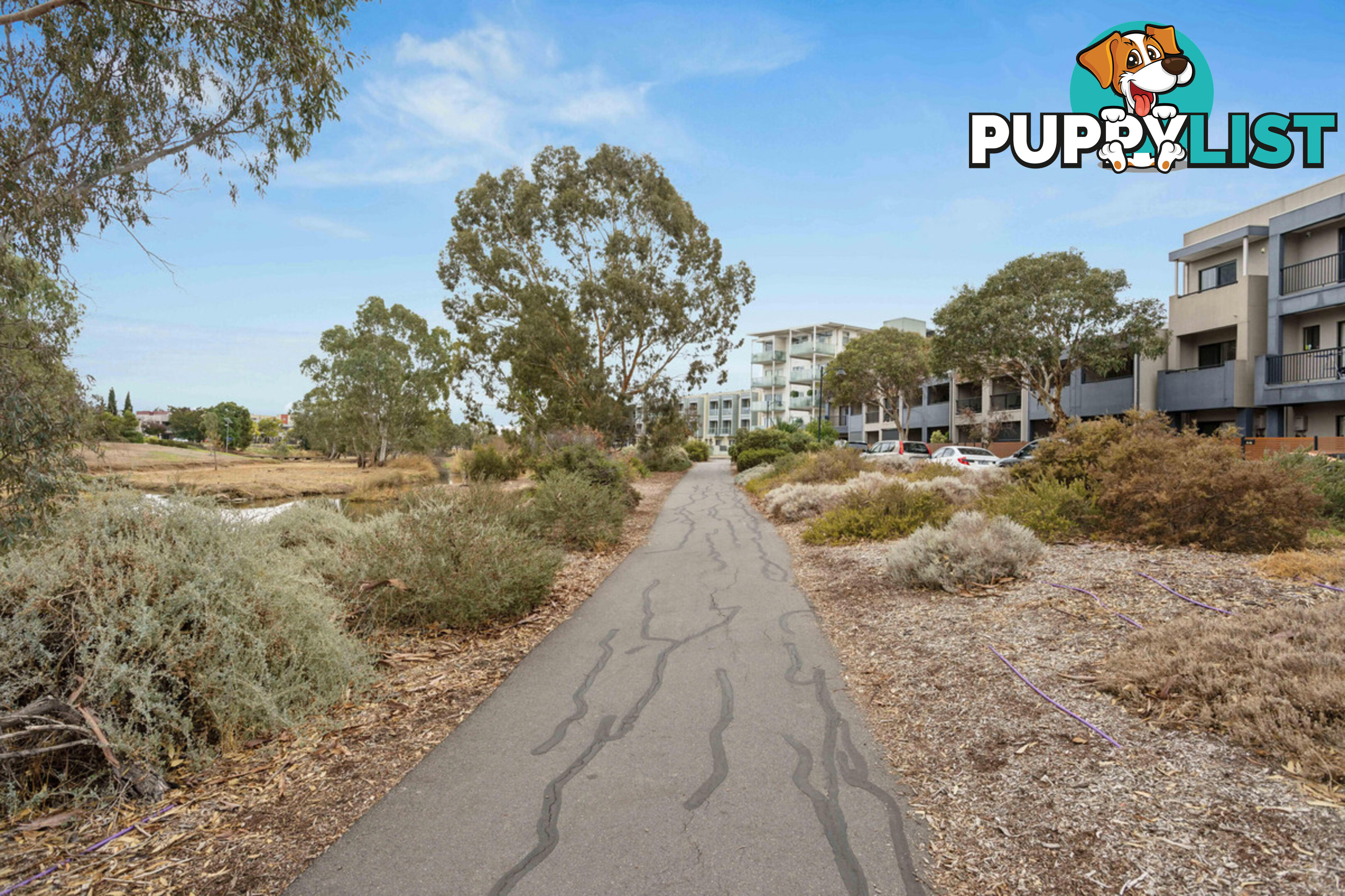 5/17 Euston Walk MAWSON LAKES SA 5095