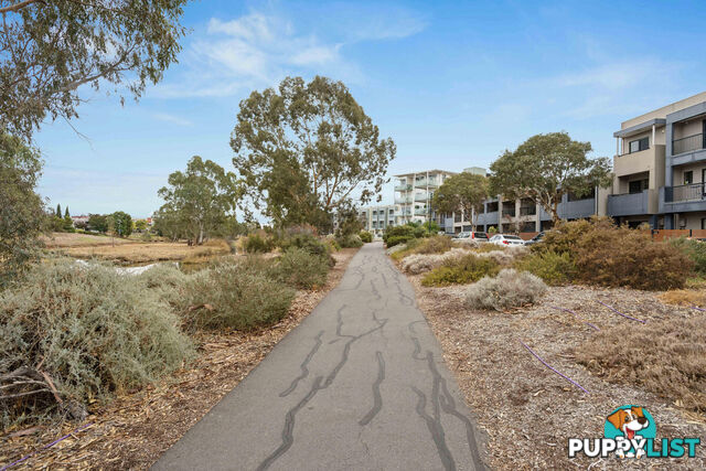 5/17 Euston Walk MAWSON LAKES SA 5095