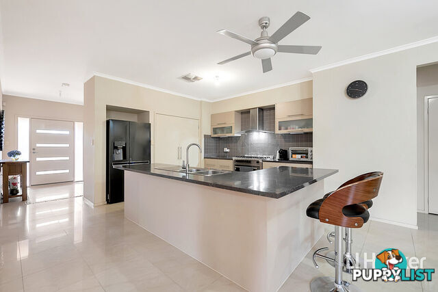 17 Chapman Court MAWSON LAKES SA 5095