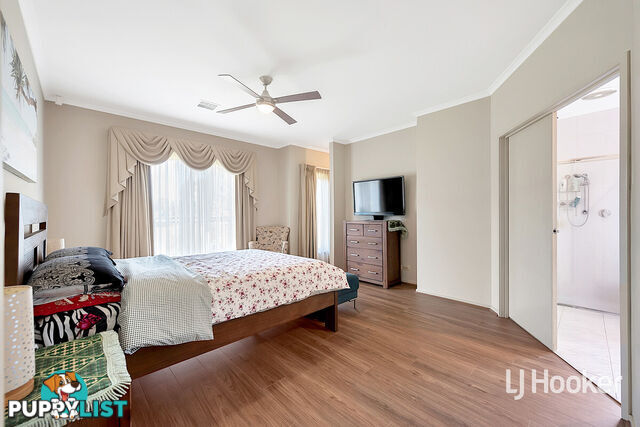 17 Chapman Court MAWSON LAKES SA 5095
