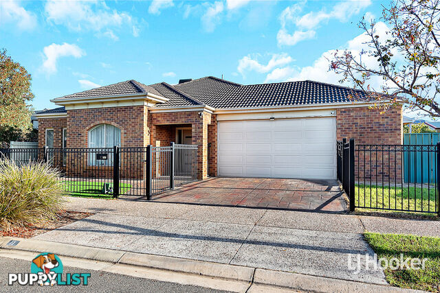 17 Chapman Court MAWSON LAKES SA 5095