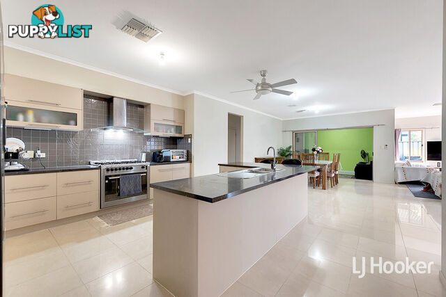 17 Chapman Court MAWSON LAKES SA 5095
