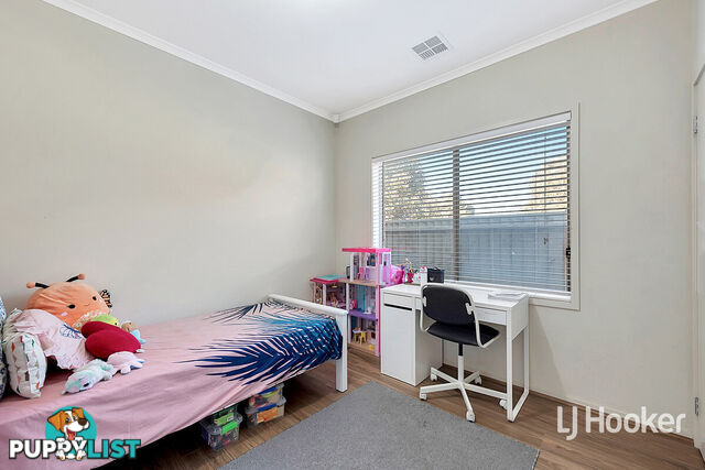 17 Chapman Court MAWSON LAKES SA 5095