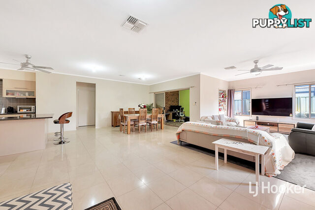 17 Chapman Court MAWSON LAKES SA 5095