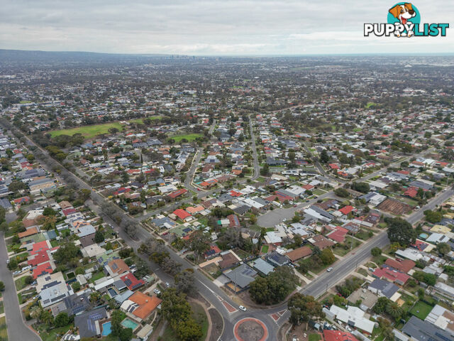 160 Kelly Road MODBURY NORTH SA 5092
